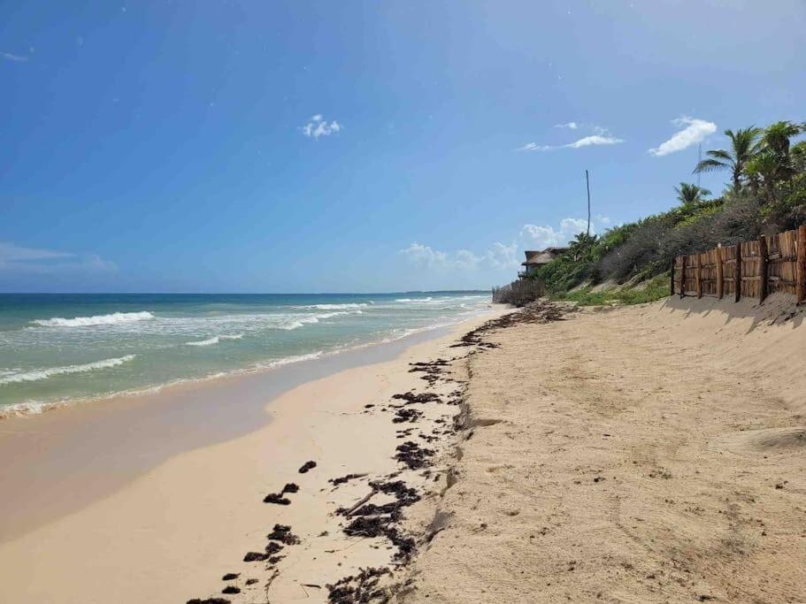 Luxury 5-Br Beachfront Home In Tulum Casa Sofia Gato Екстер'єр фото