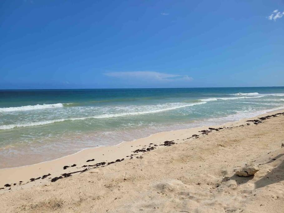 Luxury 5-Br Beachfront Home In Tulum Casa Sofia Gato Екстер'єр фото