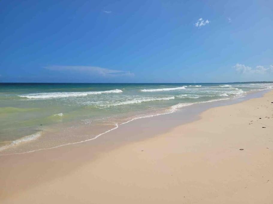 Luxury 5-Br Beachfront Home In Tulum Casa Sofia Gato Екстер'єр фото