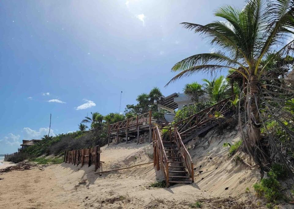 Luxury 5-Br Beachfront Home In Tulum Casa Sofia Gato Екстер'єр фото