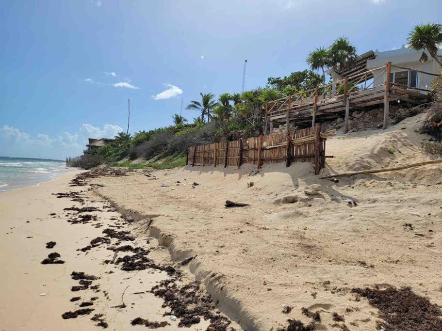 Luxury 5-Br Beachfront Home In Tulum Casa Sofia Gato Екстер'єр фото